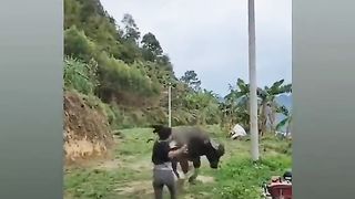 Tik Tok Funny Video, এটা আপনার কোন বান্ধবী মেনশন করে দর দ‍্যান????????????