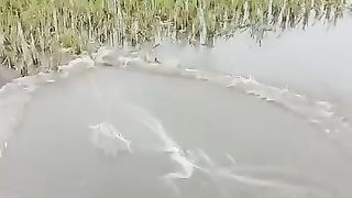 This Grandpa Fishing Skill is Really Amazing