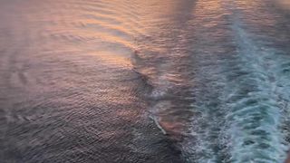 Beauty of Sunset