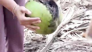 Great way to grow coconut