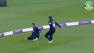 Top 15 Funny ???? Moments in Cricket Ever