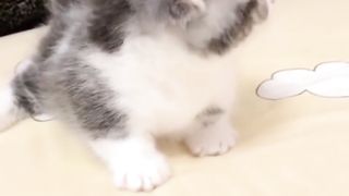 ????????????