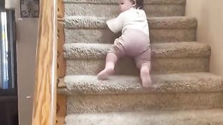 ????????????