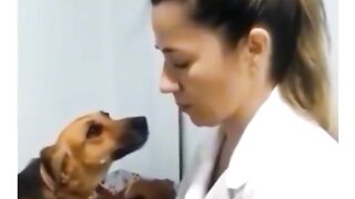 What is the dog thinking