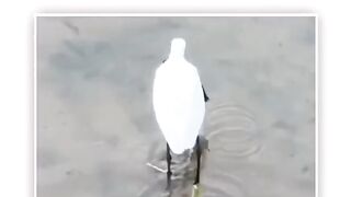 ????????