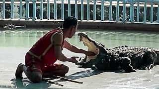 Aksi buaya