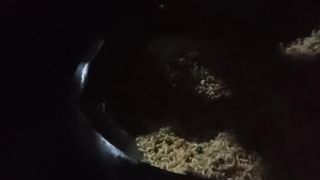 Muri Varta