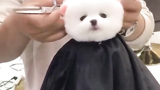 Cute ????????