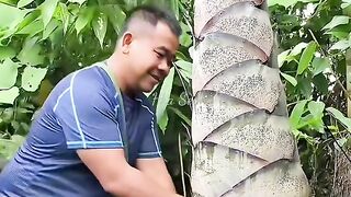 Rebung raksasa