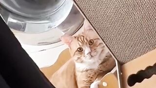 Funny moments ????