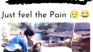 Funny video clip