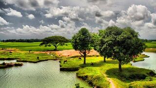 The beauty of villege Nature & Awesome Quran teloyat by Hujaifa|| Made by Sean||#creative worker