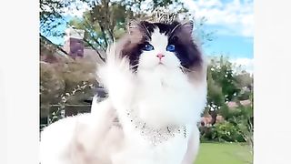Cute ...with Nature