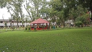 Fresh Nature