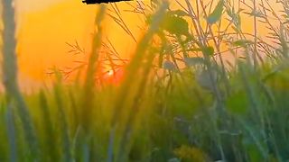 সারা দিন রোজা