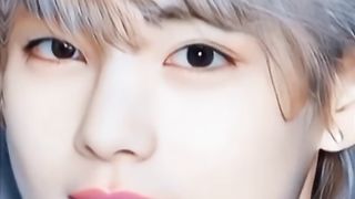 BTS Lover
