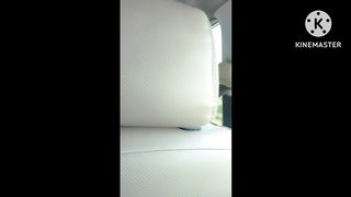 প্রকৃতিতে নির্মলতা: একটি ভিজ্যুয়াল জার্নি