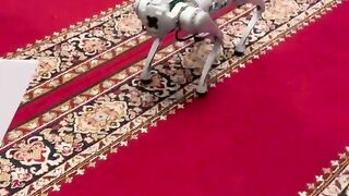 Amezing of ???? robot