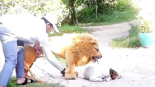 ভাই আমরা বাঙালি একটু ভিডিওটা দেখো amazing nice video