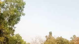 Vlog video my favorite video