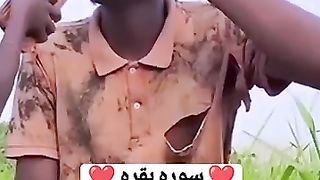 quran