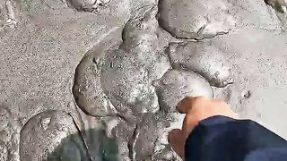 Rescue mission_ Over 100+ jellyfish safely returned to their home ????.