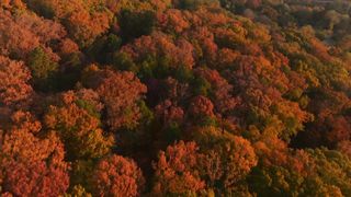 Ephemeral Echoes A Cinematic Journey Through Time