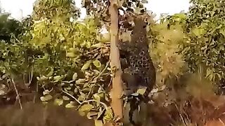 এটাই বাস্তব