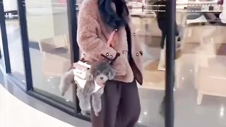 Convenient dog carrier