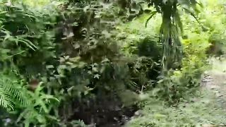 travel video