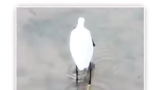 Wonderful Moment
