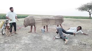 Funny video