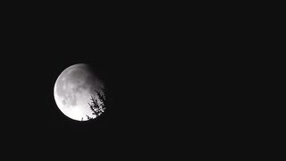 The Moon is Beautiful
