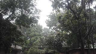 Fresh Nature