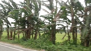 Shamim video