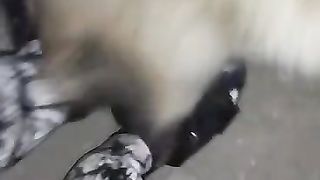 Comedy