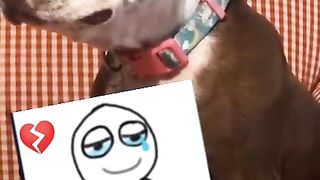 Comedy