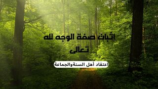 إثبات صفة الوجه لله تعالى