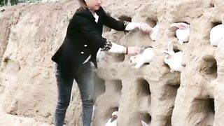 Beautiful rabbit ????