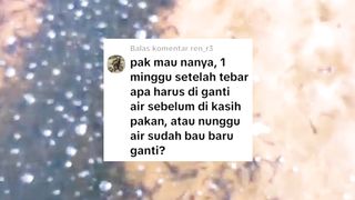 Ganti air kolam gak harus nunggu BAU dulu broo