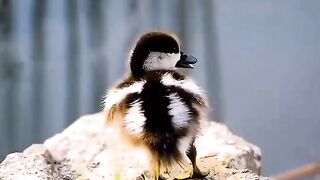 proud mommy