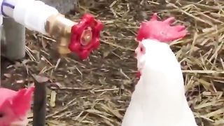 Are you one of us? ????????????