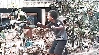 DANCE