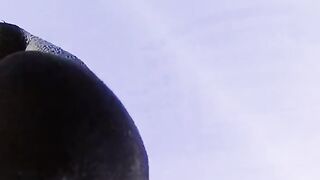 The male penguin incubates his chicks' eggs until they hatch
