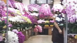 flowers for the heart