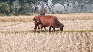 A small village of ever green Bangladesh full of diversity.