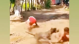 However, there is no protection from dogs