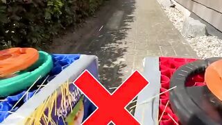 Guess how many spaghettis you need to stop a Scooter! ????????.
