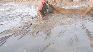 Extremely Unbelievable Satisfying Pond Fishing Video 2023 | Everyone Should Watch This Fishing Video