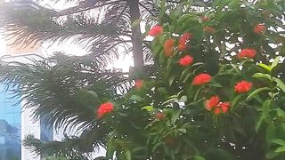 Beautiful Day